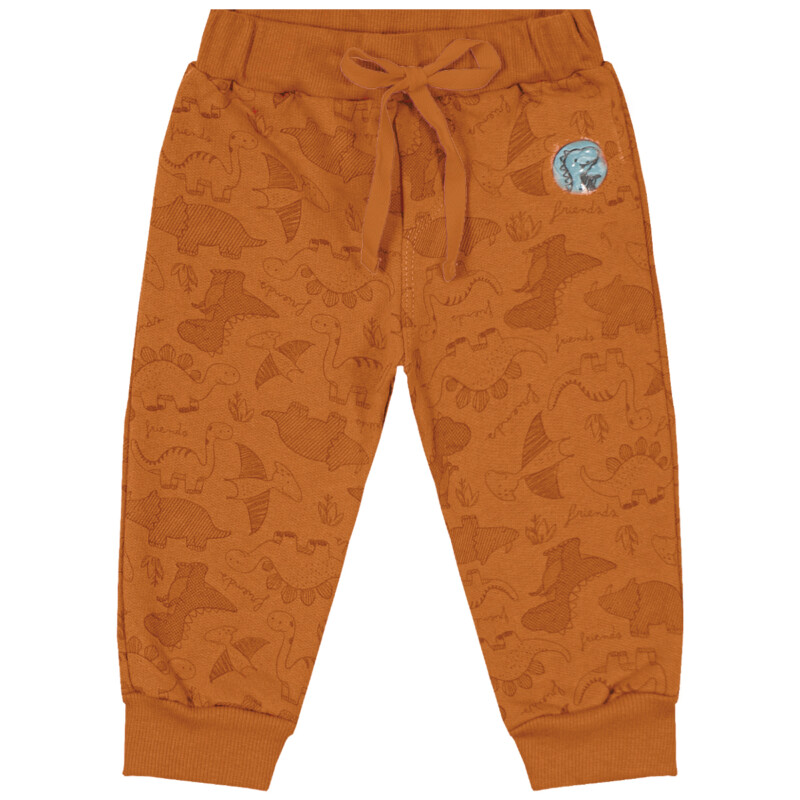 Pantalón Dino Friends - Con Felpa
